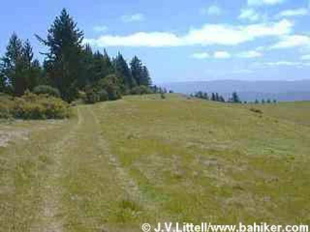 Trail through grassland