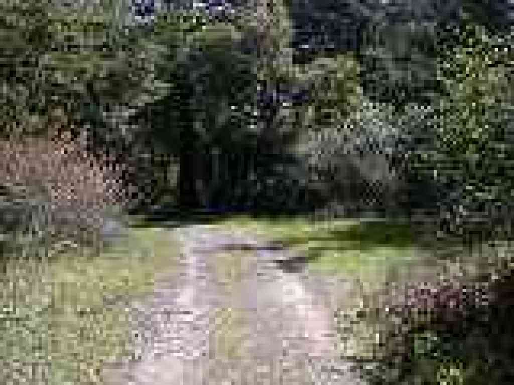 Junction