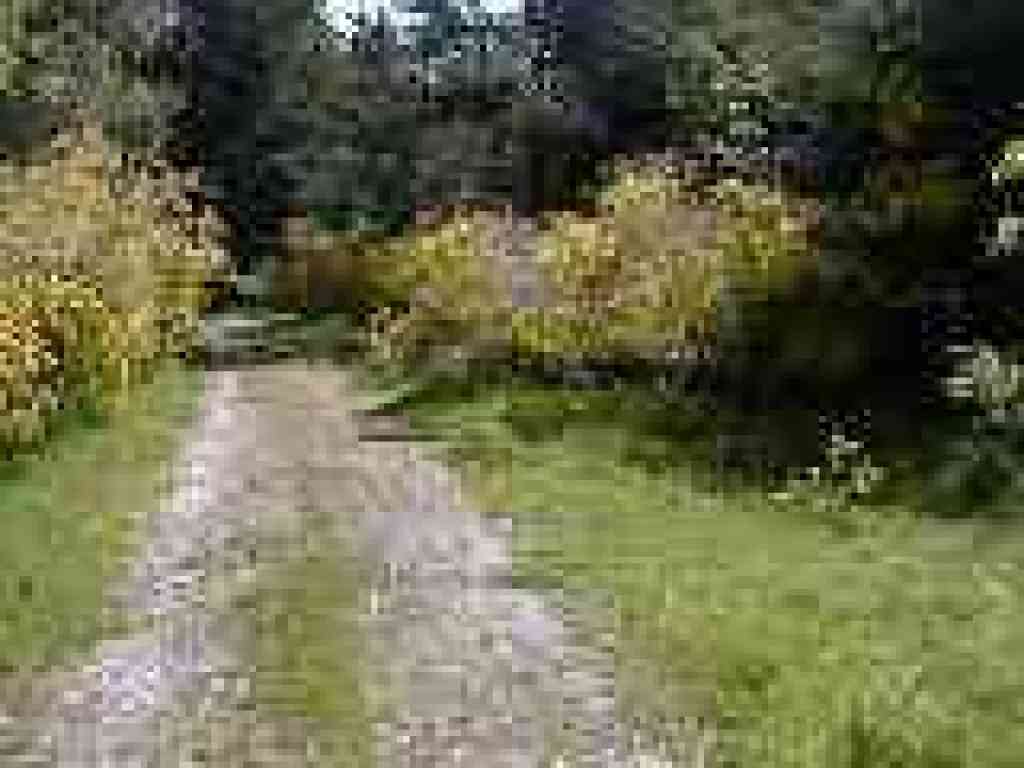 Junction