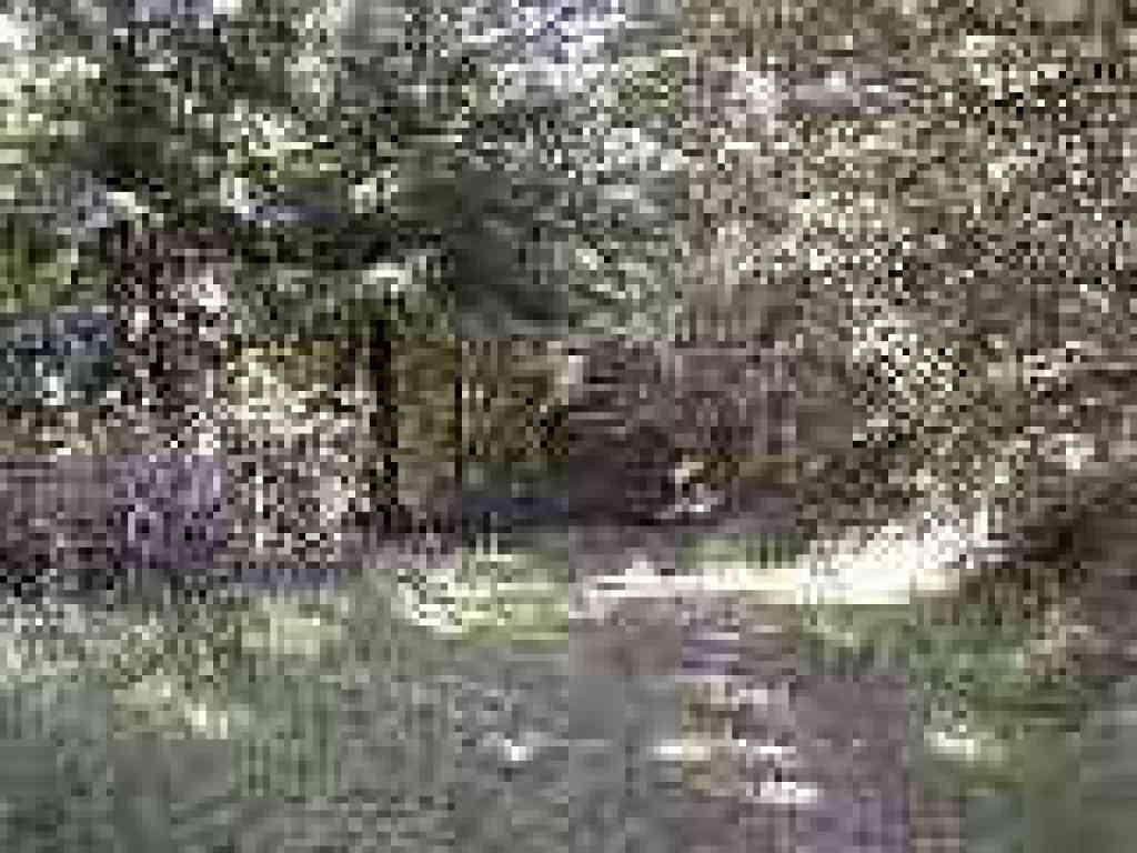 Trail