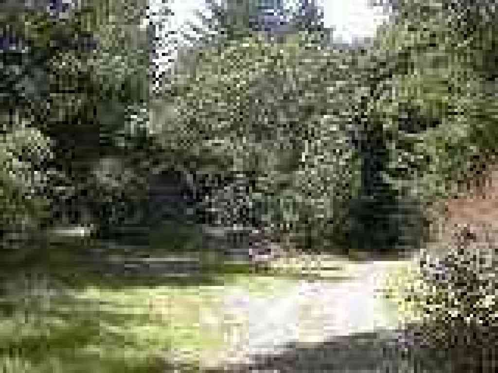 Junction, again