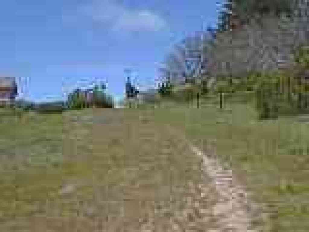 Grassland
