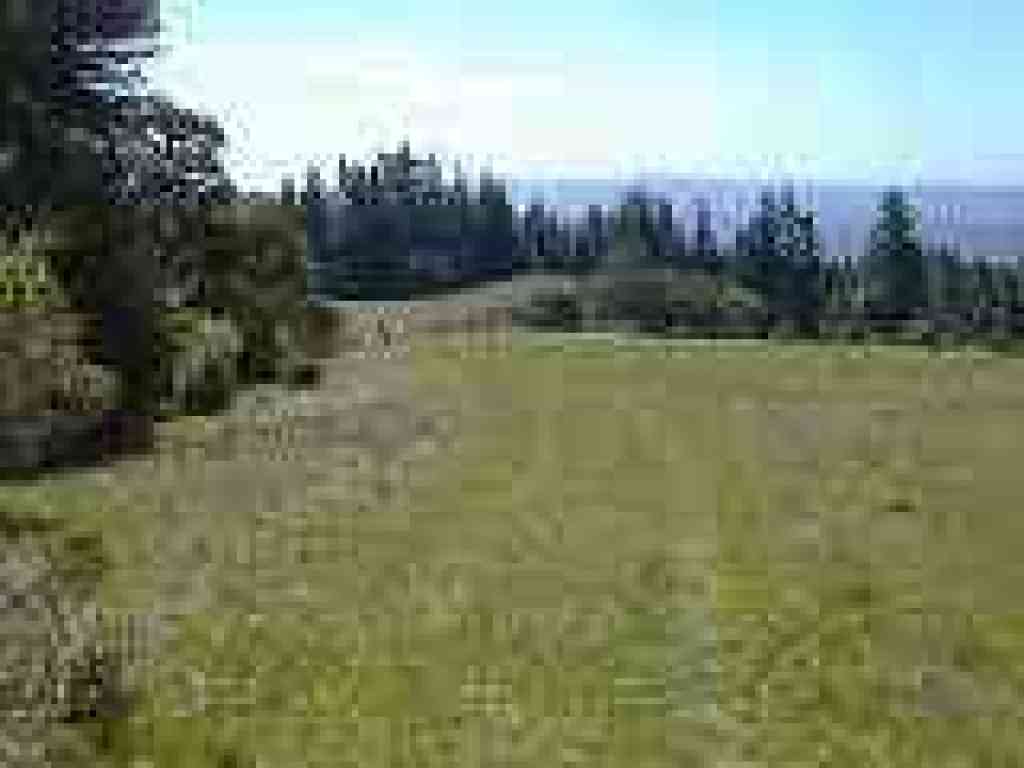 Trail