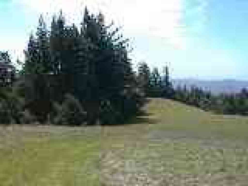 Trail