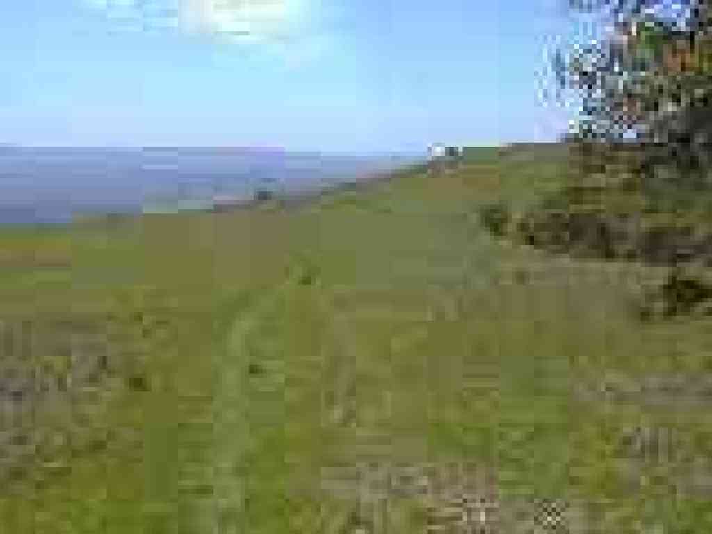 Grassland
