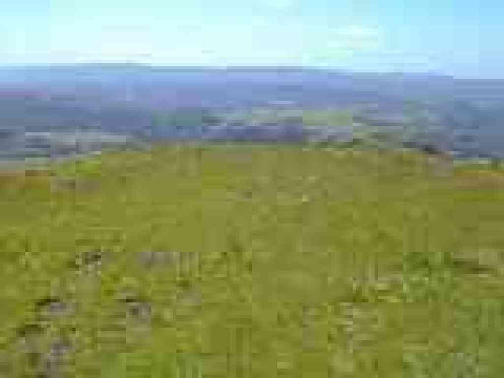 View point