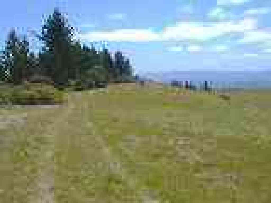Trail