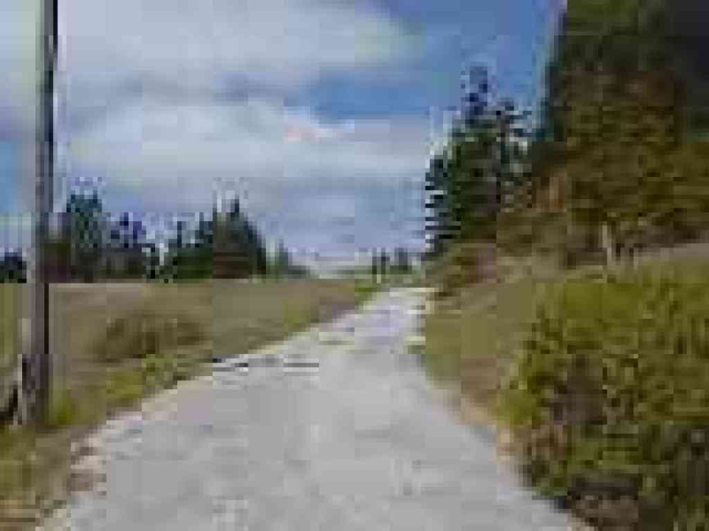 Road back to trailhead