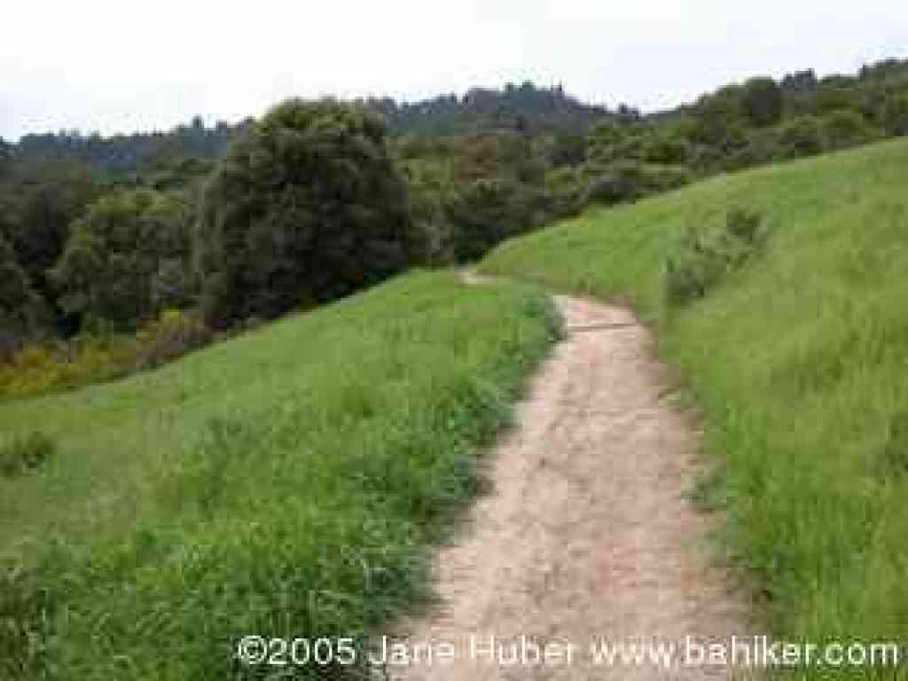 Larry Lane Trail