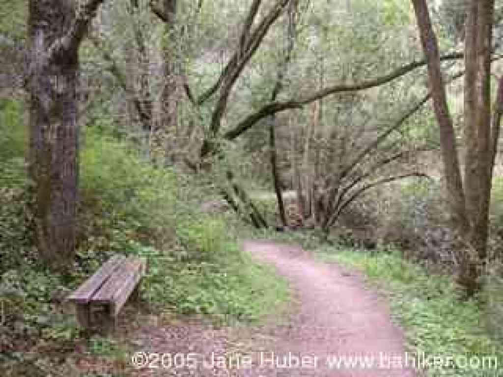 Bench near creek crossing