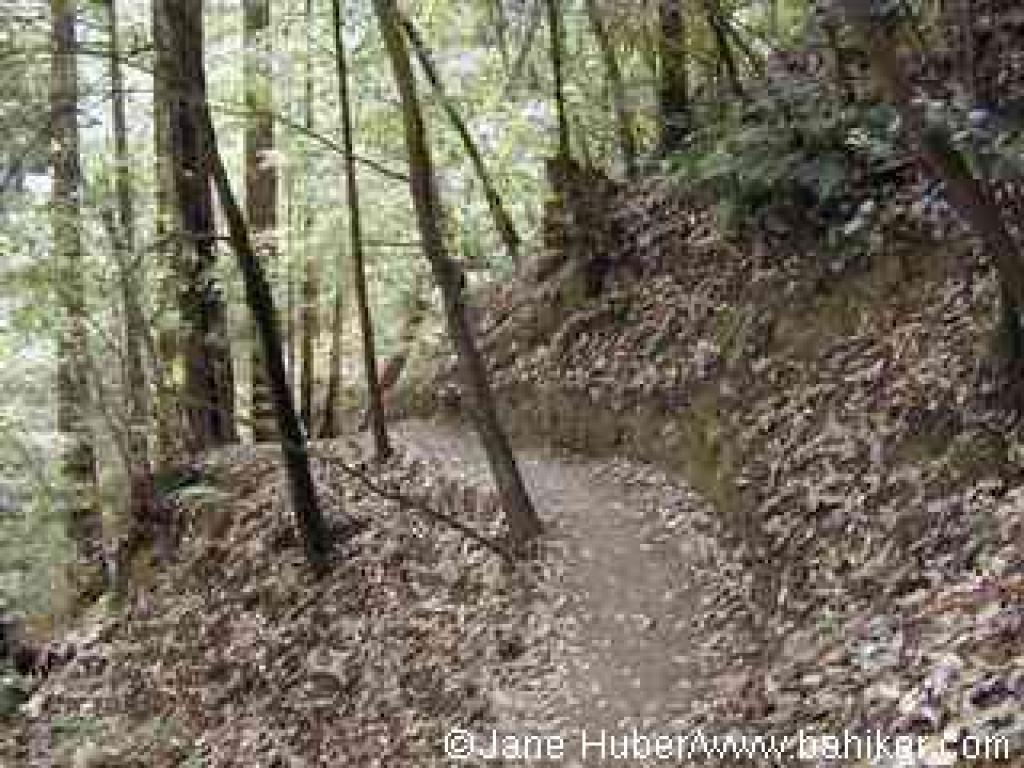 Loch Trail