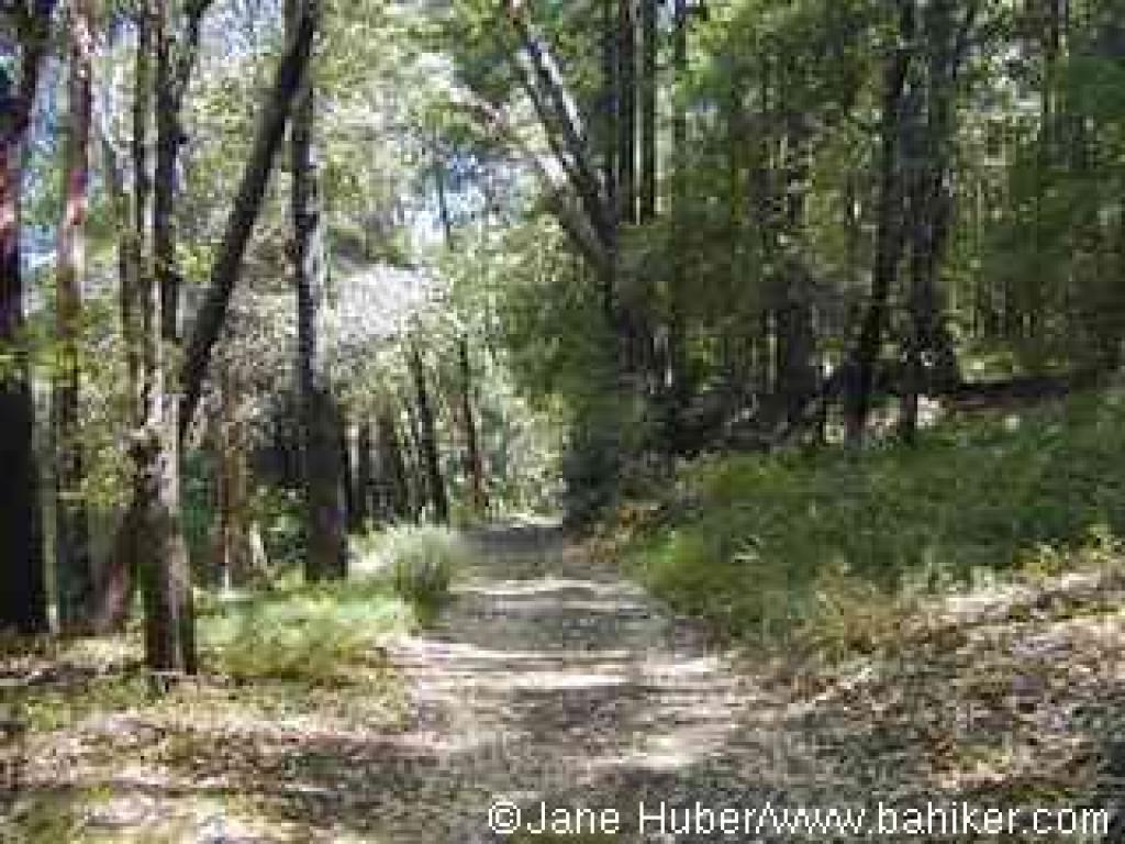 Loch Sloy Trail