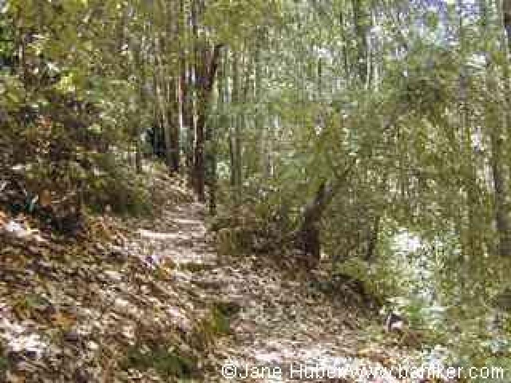 Gilchrist Trail