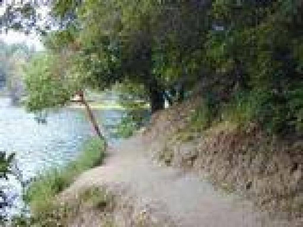 Along the shoreline