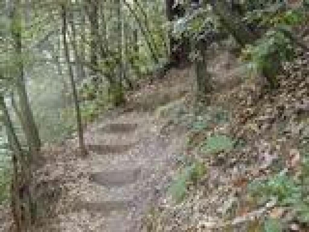 Steps