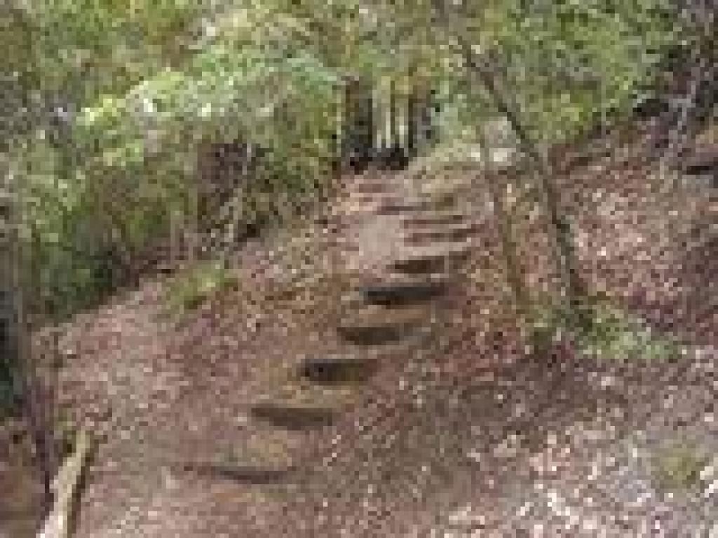 Steps