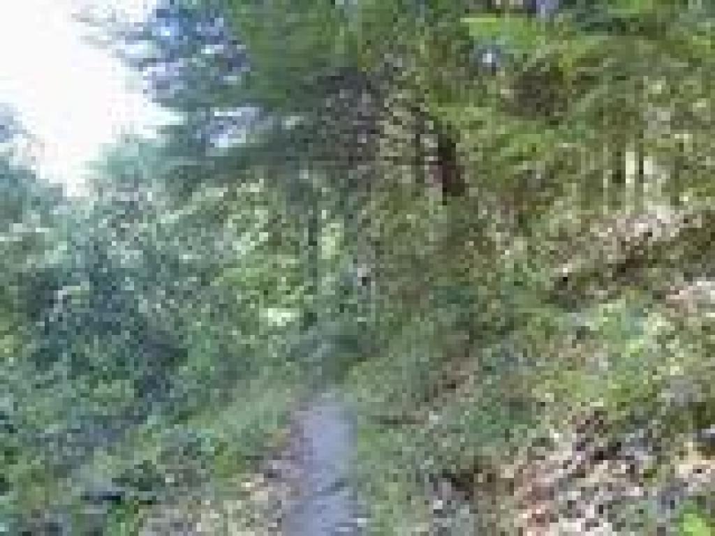 Loch Trail