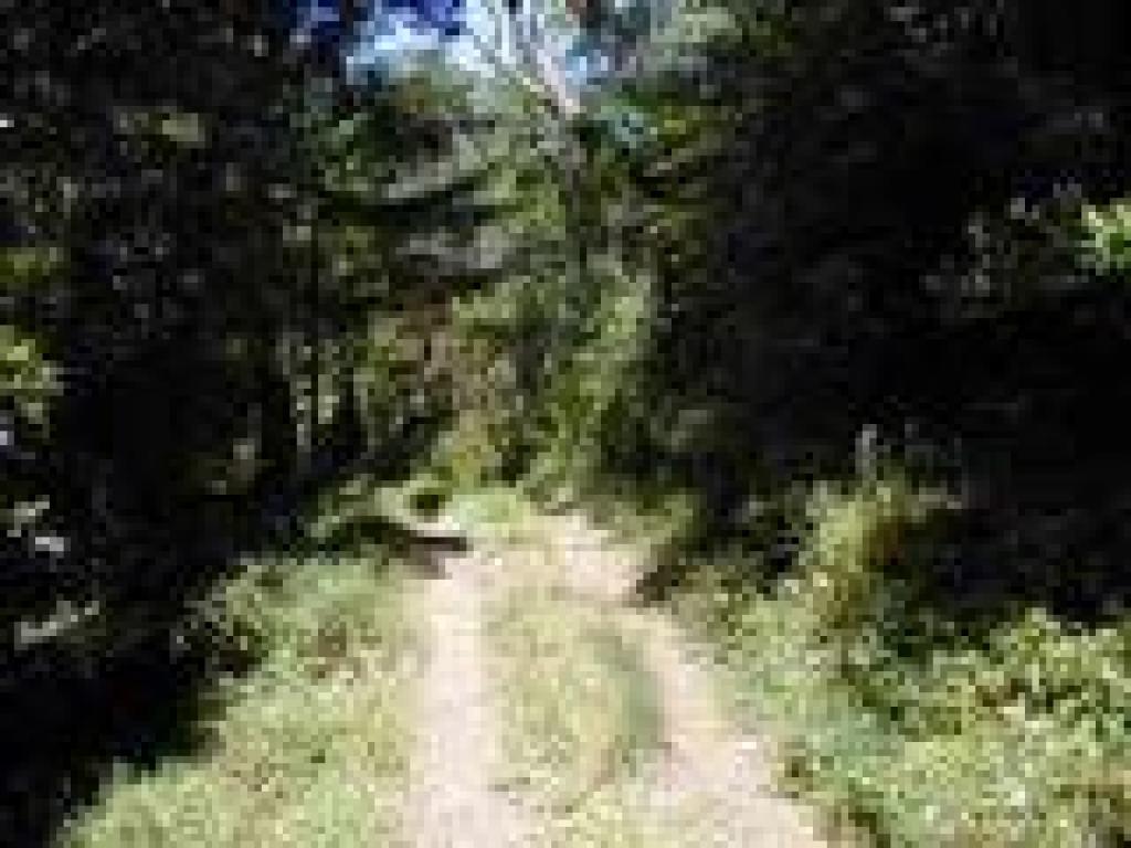 Loch Sloy Service Road