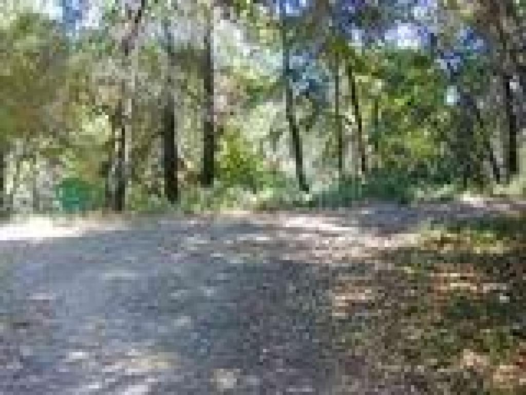 At Deer Flat