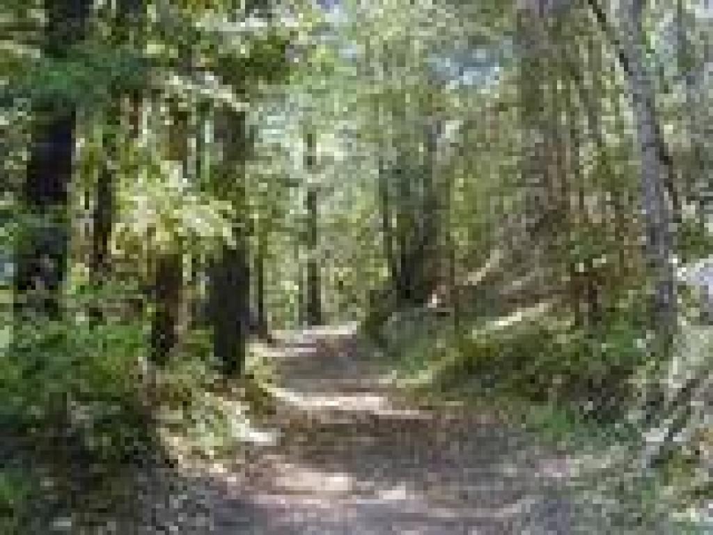 Highland Service Road