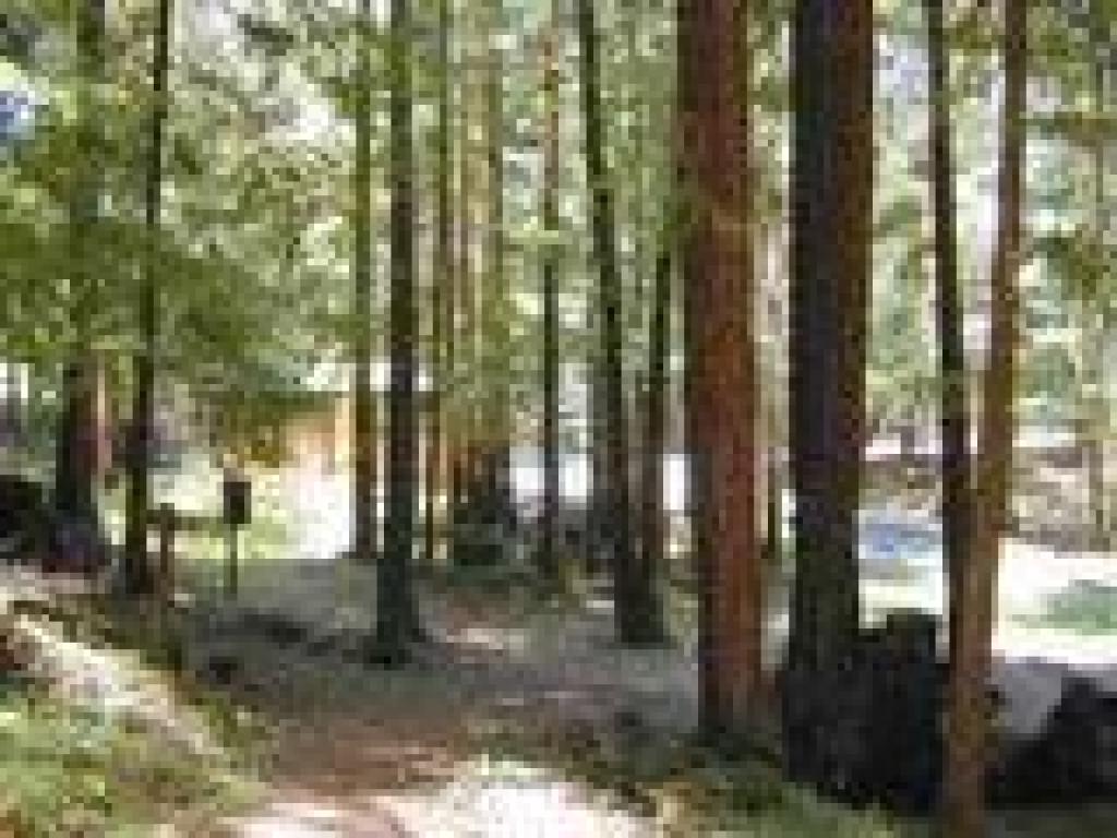 Edge of picnic area