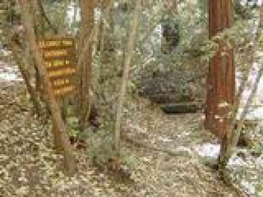 Gilchrist Trail