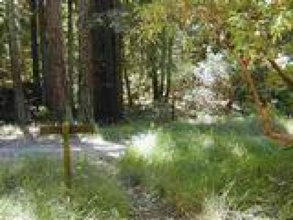 Near another picnic area