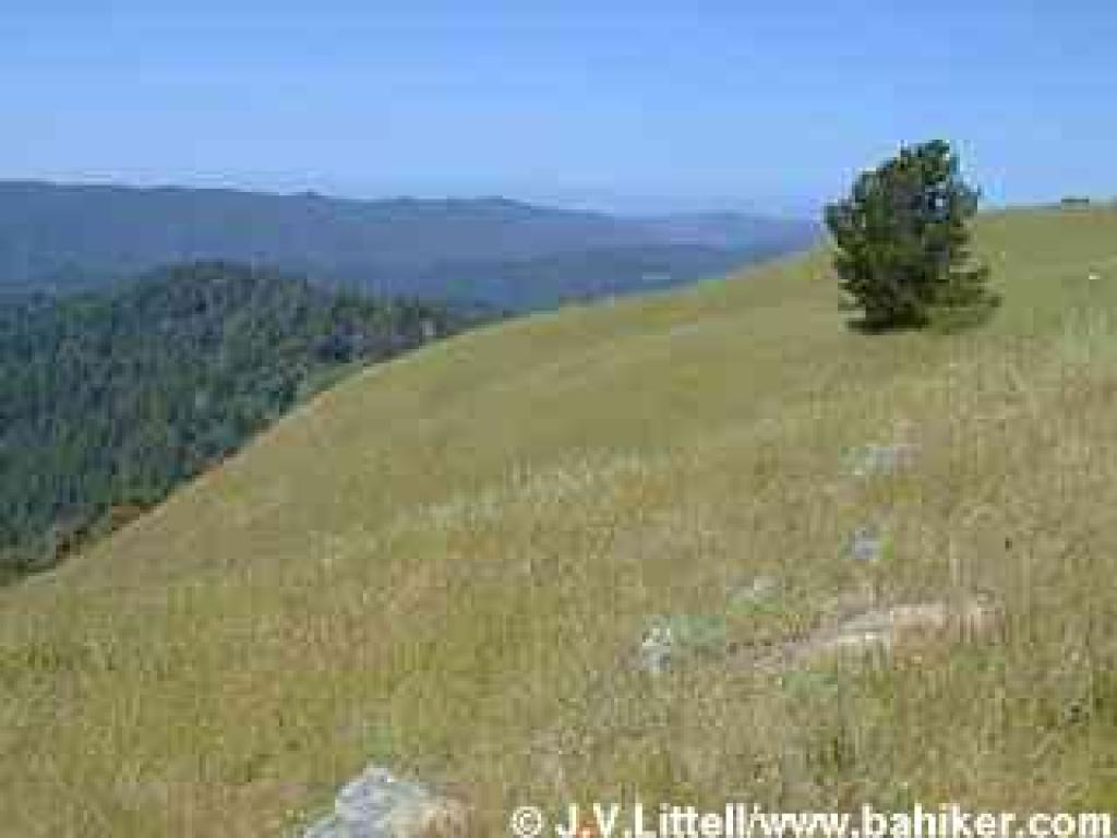 View from the ridge