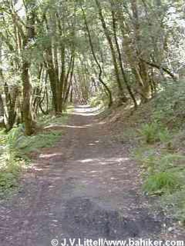 Peters Creek Trail