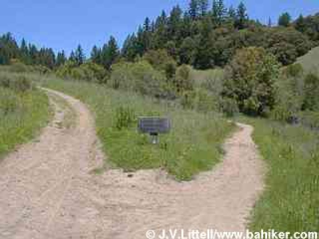 Peters Creek Trail