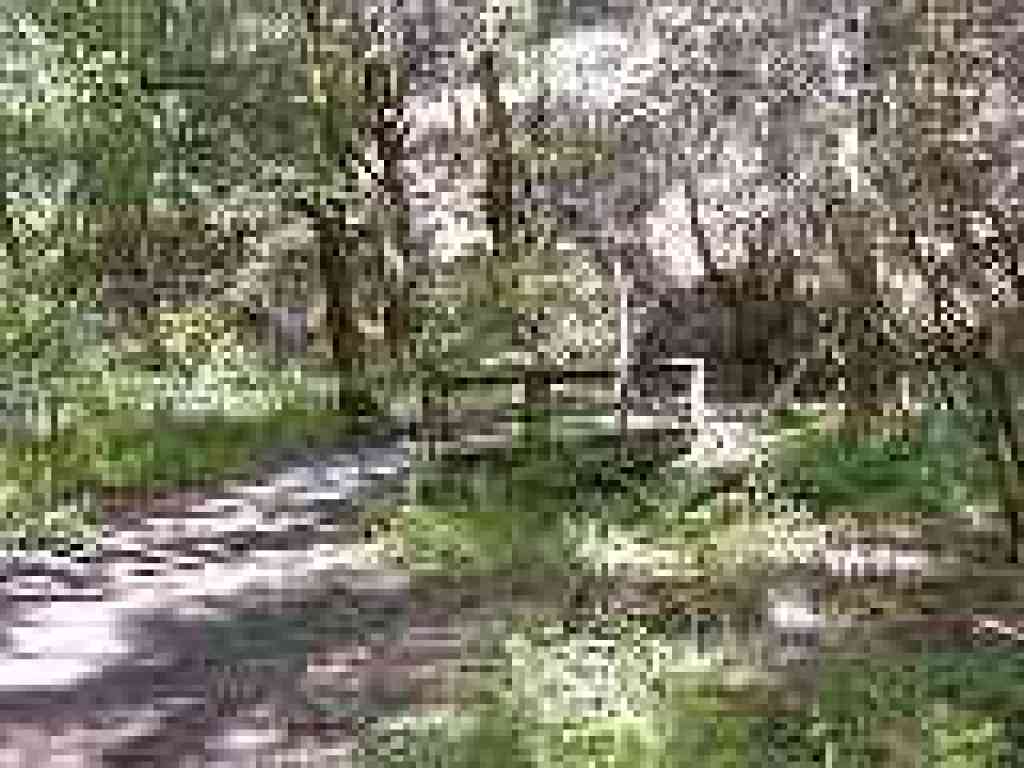 Bridge crosses Peters Creek