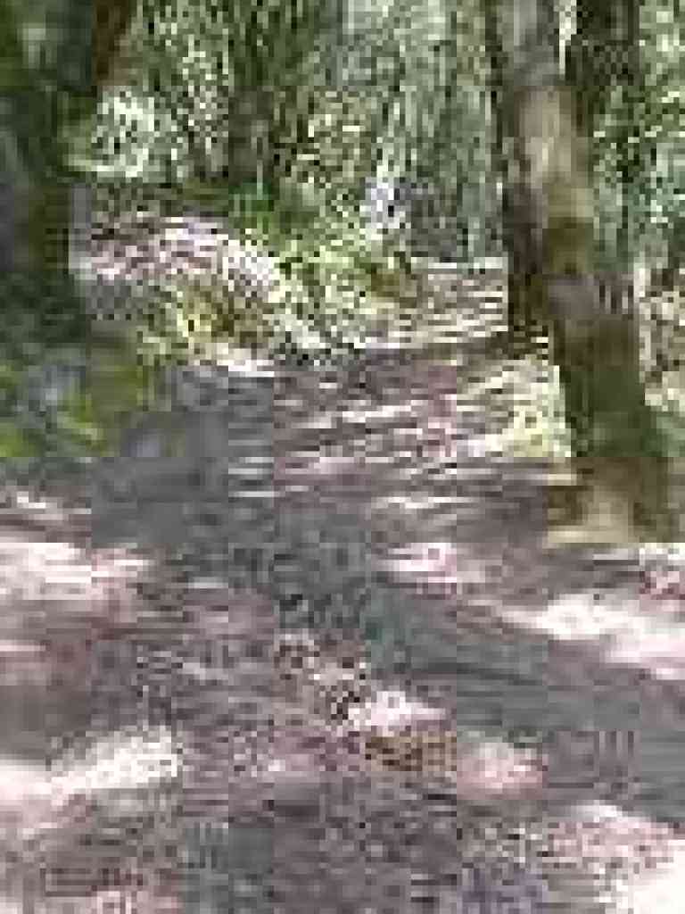 Starting to climb
