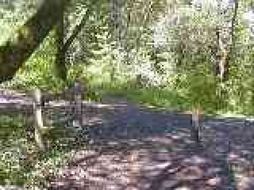 Crossing private road