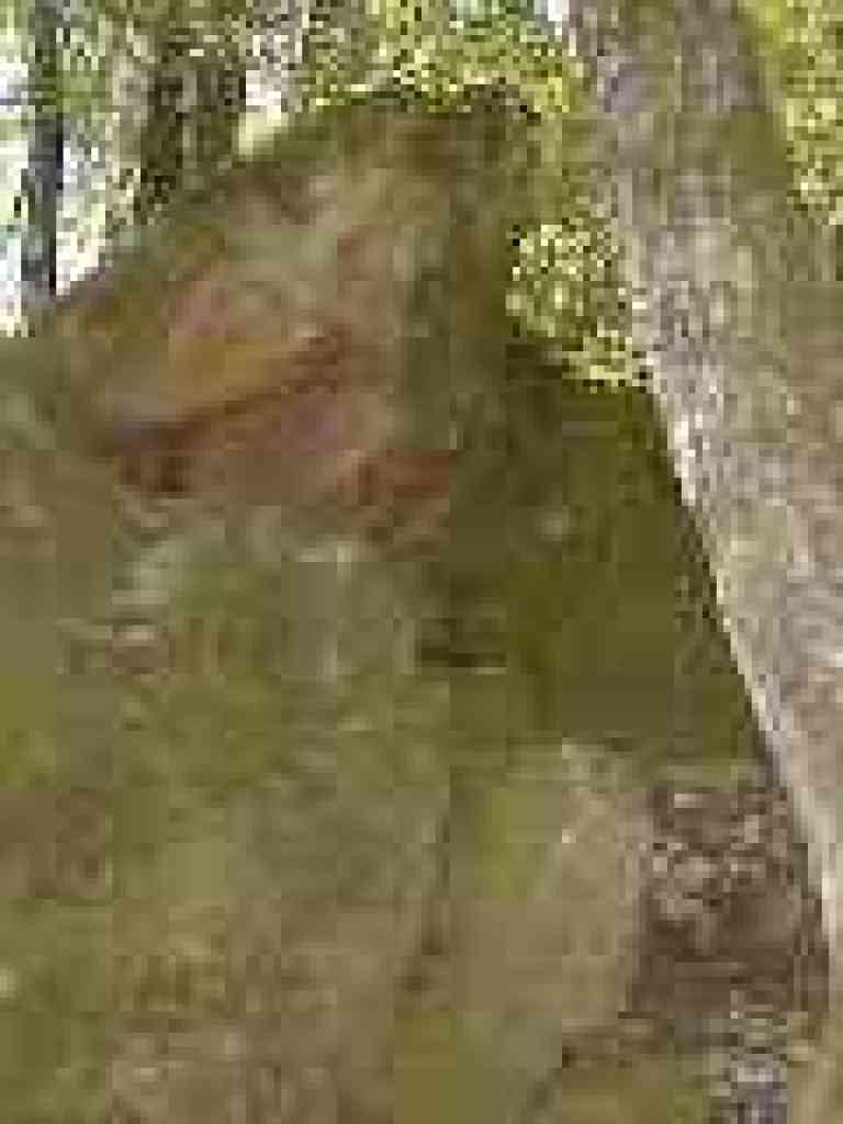 Sandstone boulder