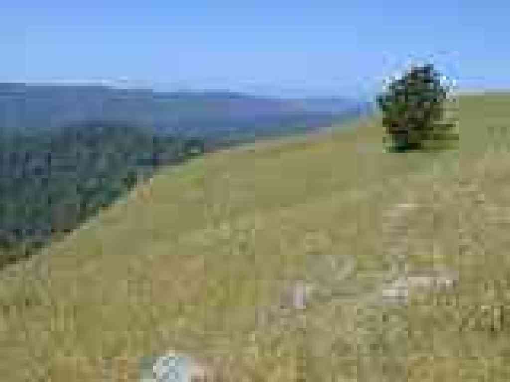 View west