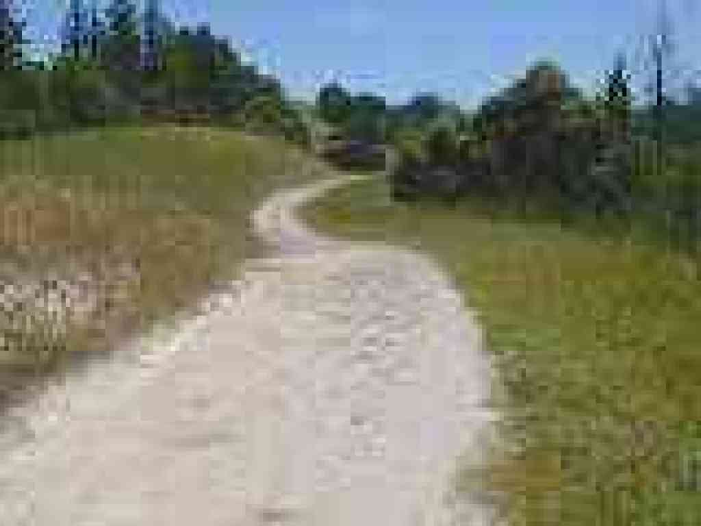 Long Ridge Road