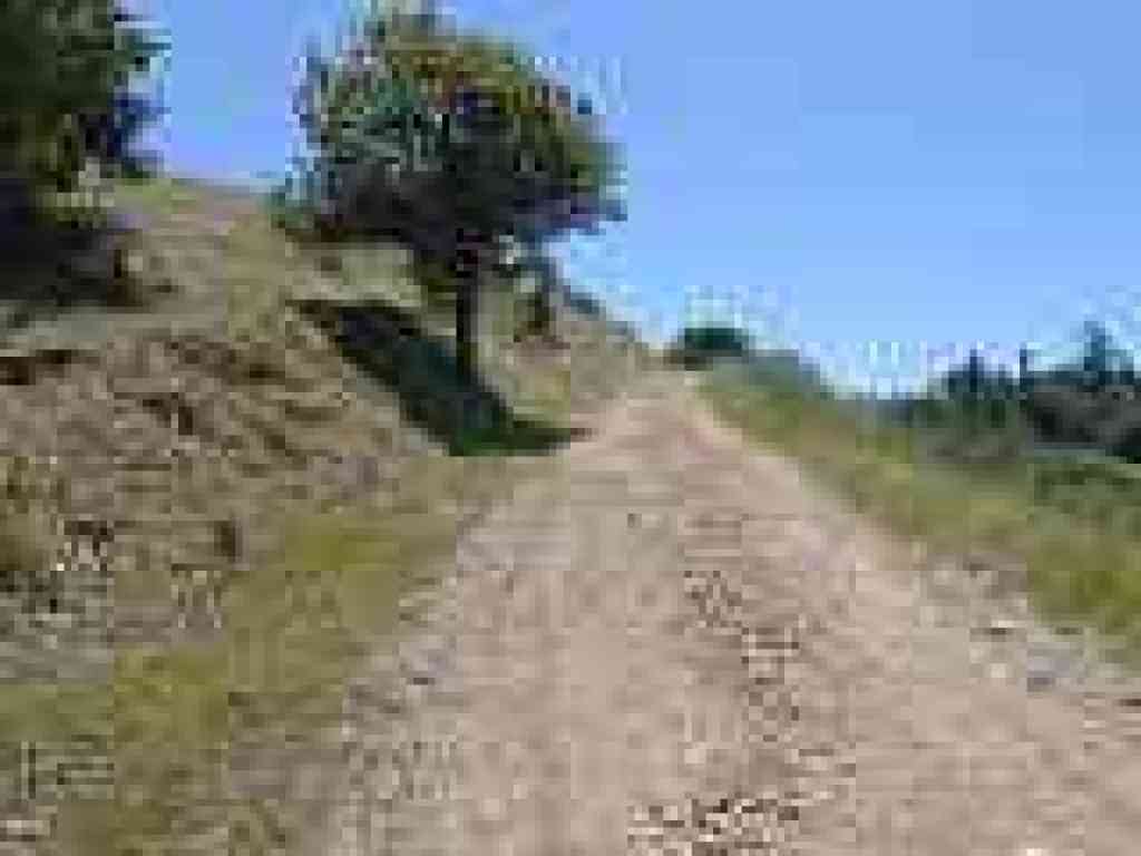 Brief ascent