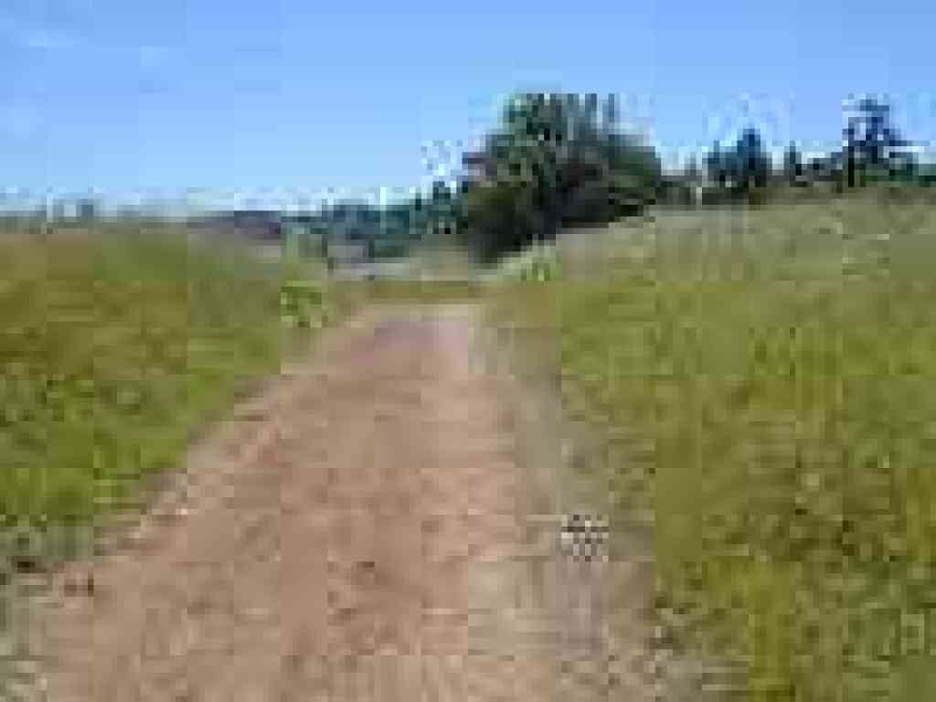 Through tall grass