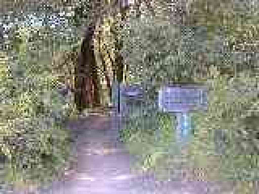 Start of Peters Creek Trail