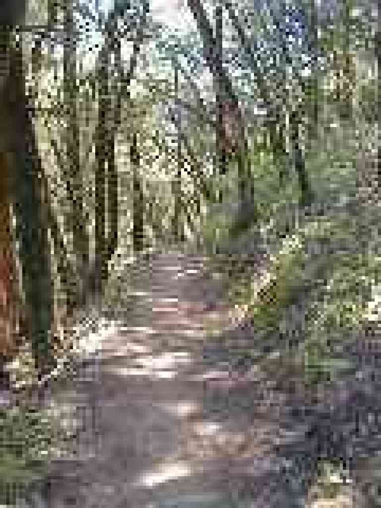 Switchbacking downhill