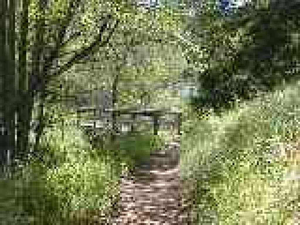 Bridge