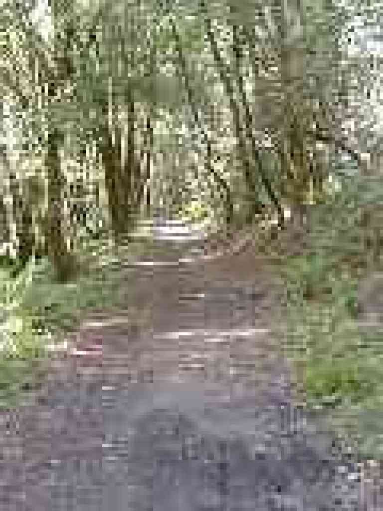 Along the creek