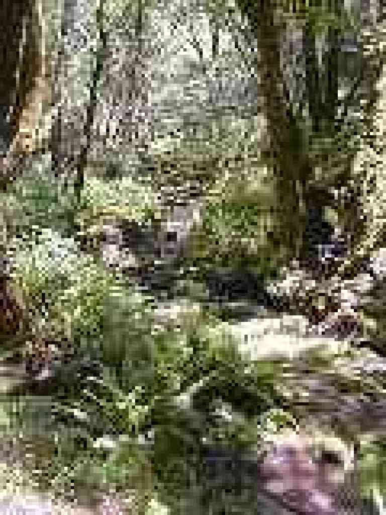 Peters Creek