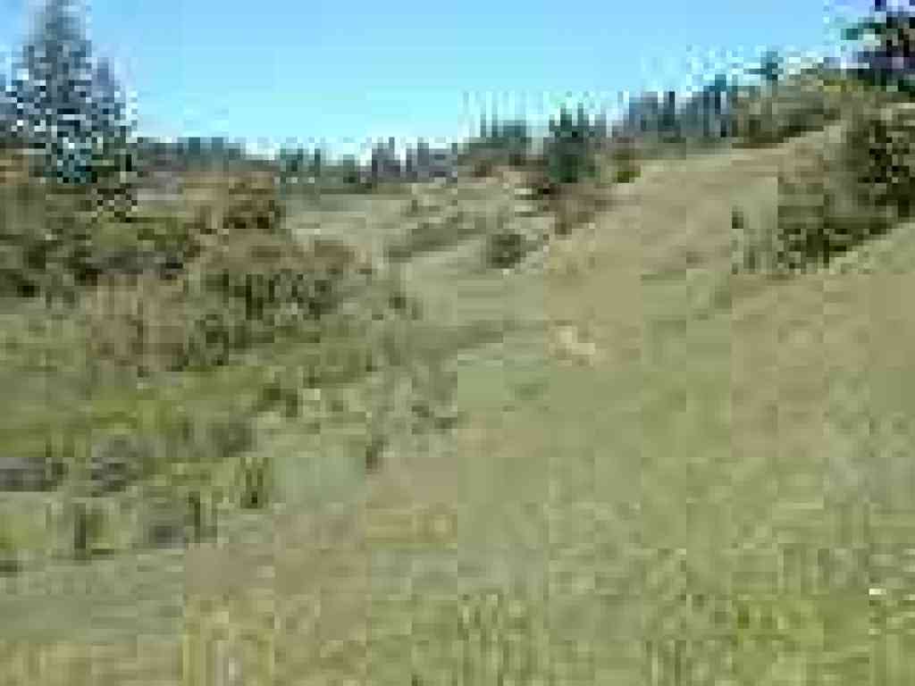View of the Bay Area Ridge Trail