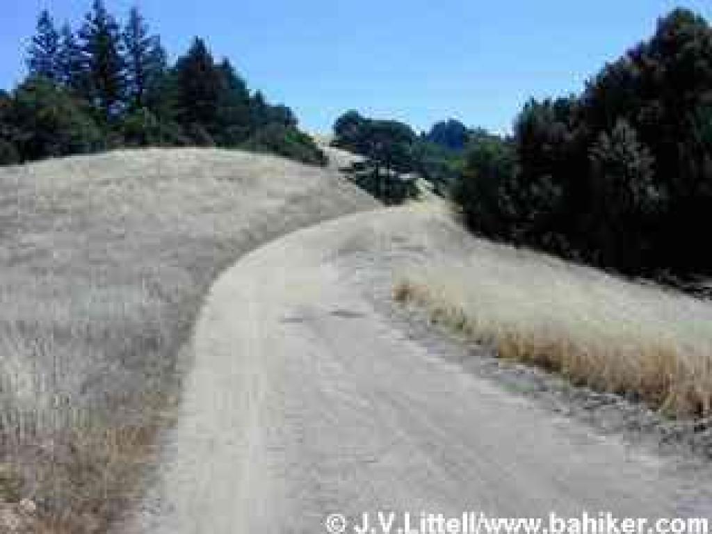 Long Ridge Road