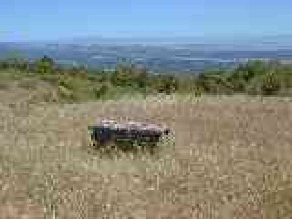 Bench