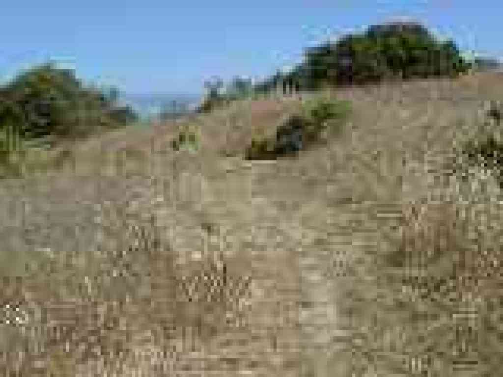 Fault Trail