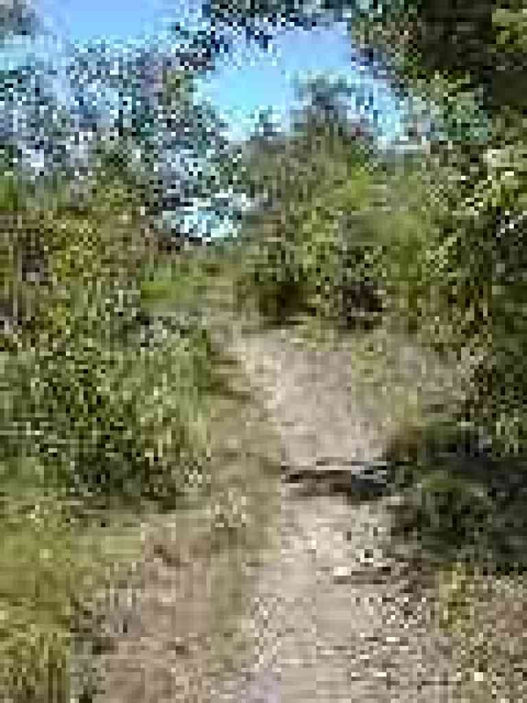 Narrow portion