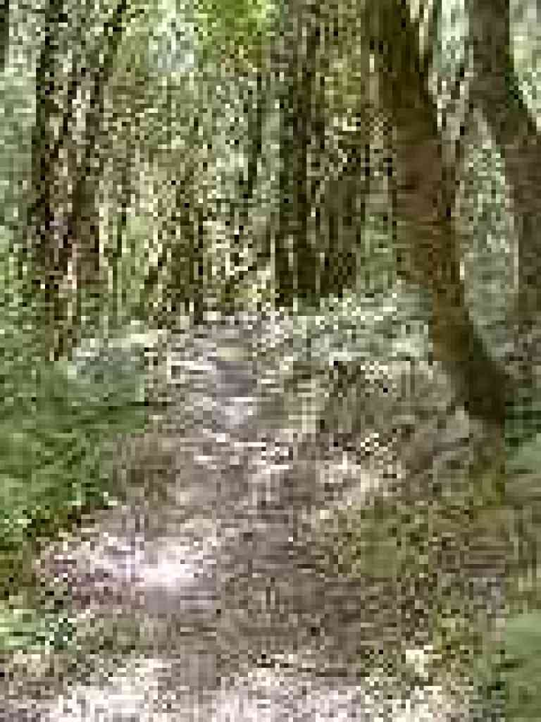 Fault Trail