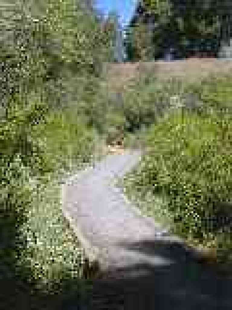 Causeway